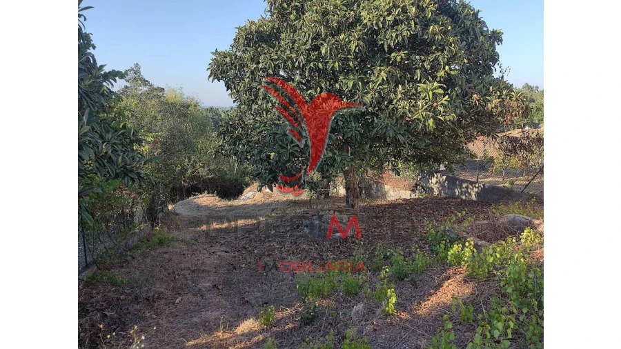 Terreno para Venda em Nossa Senhora das Misericordias Foto 5