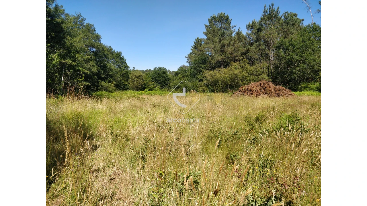 Quinta para Venda em Coura Foto 12