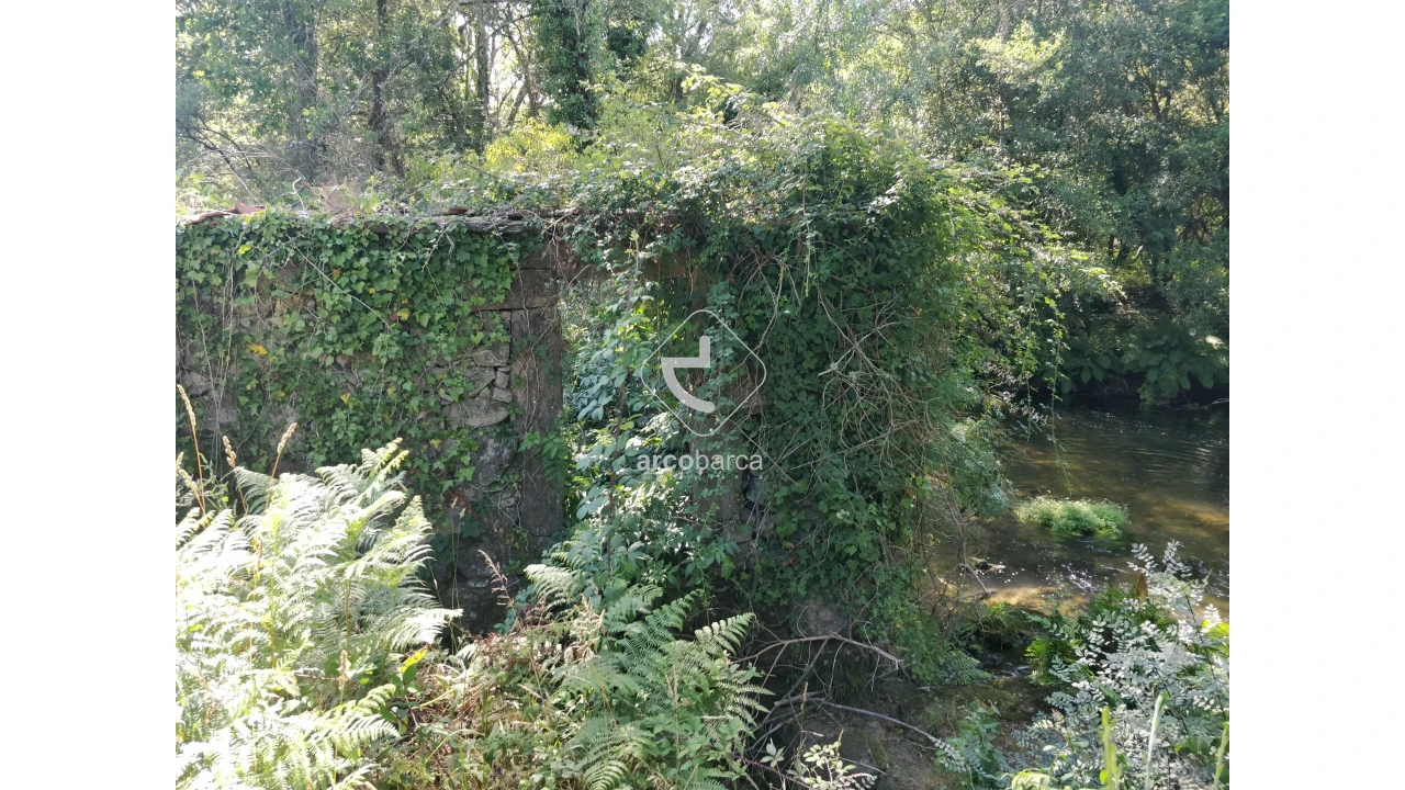 Quinta para Venda em Coura Foto 7