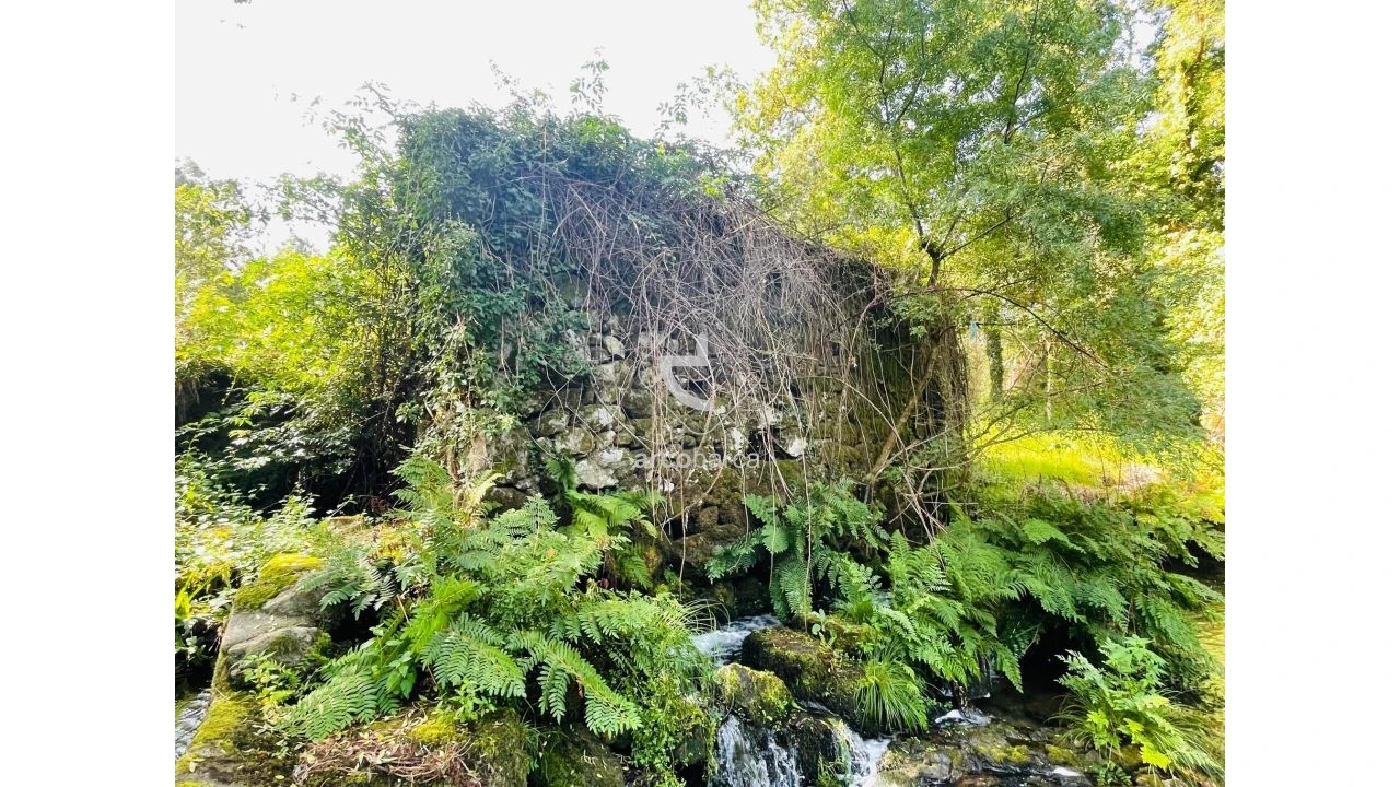 Quinta para Venda em Coura Foto 28