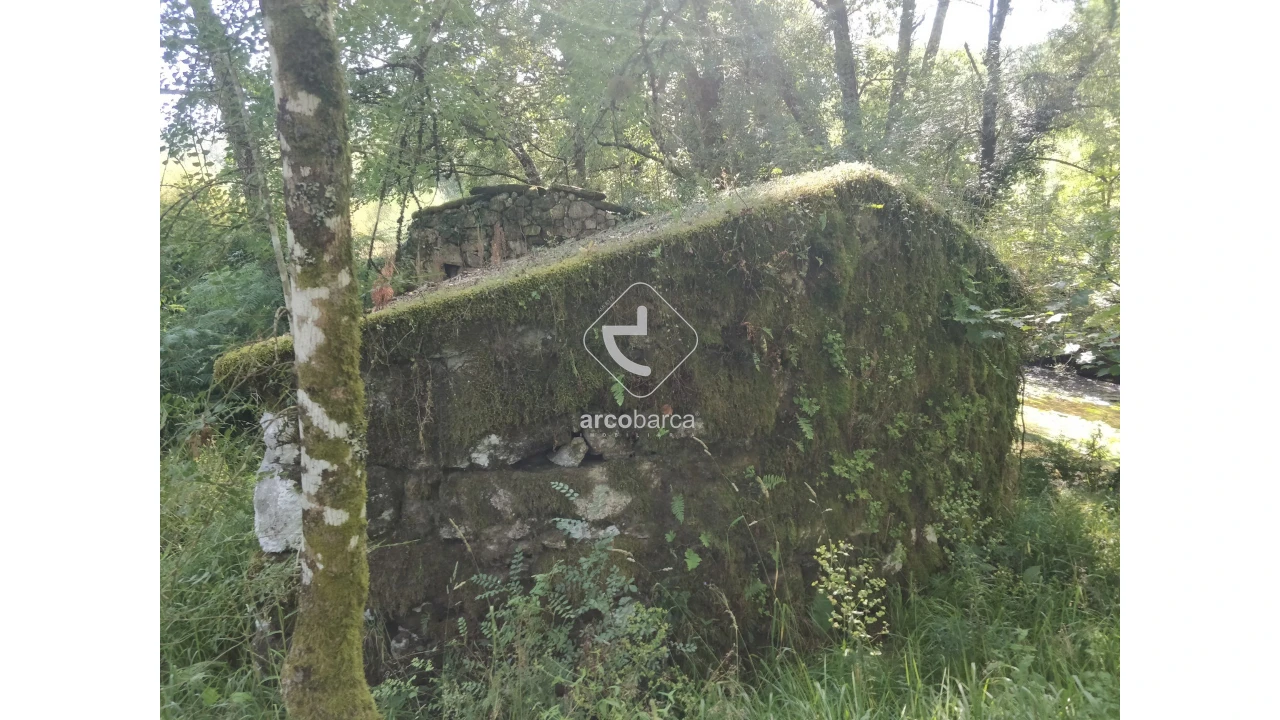 Quinta para Venda em Coura Foto 25