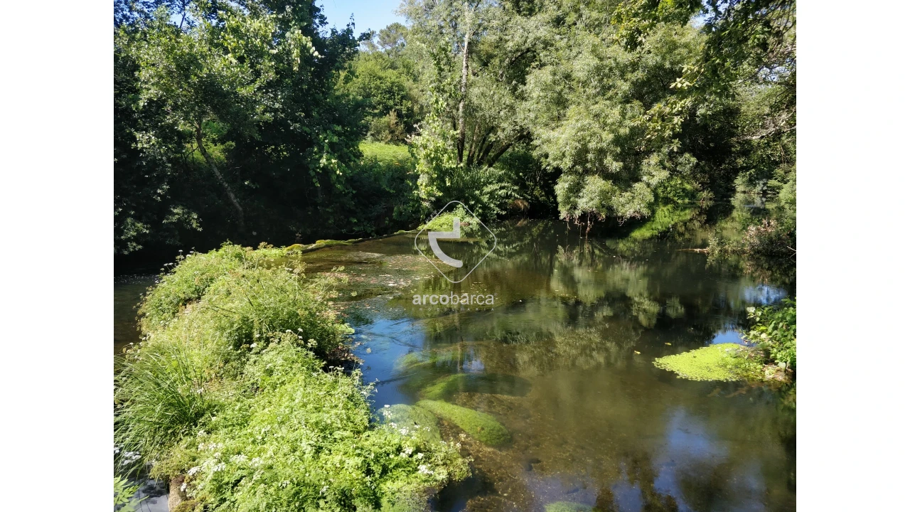 Quinta para Venda em Coura Foto 14