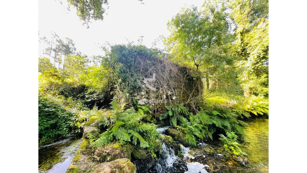 Quinta para Venda em Coura Foto 2