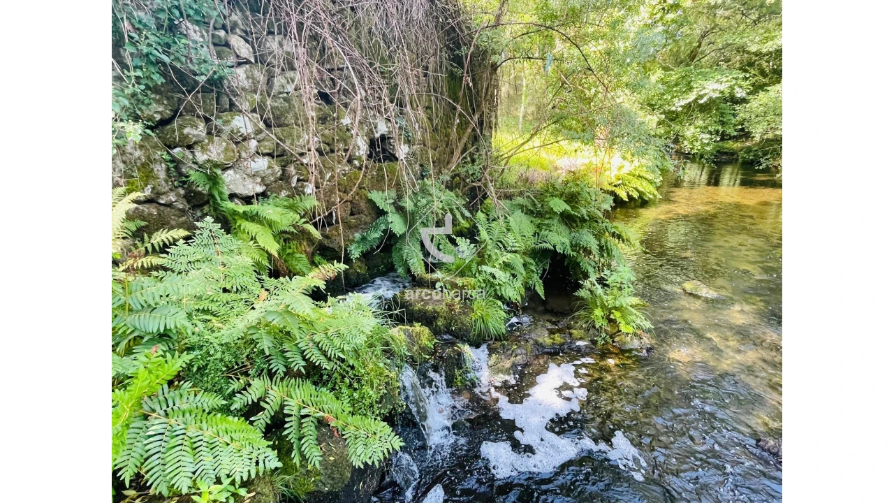 Quinta para Venda em Coura Foto 32