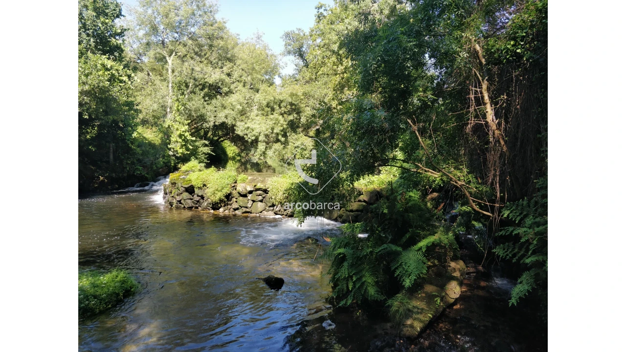 Quinta para Venda em Coura Foto 1