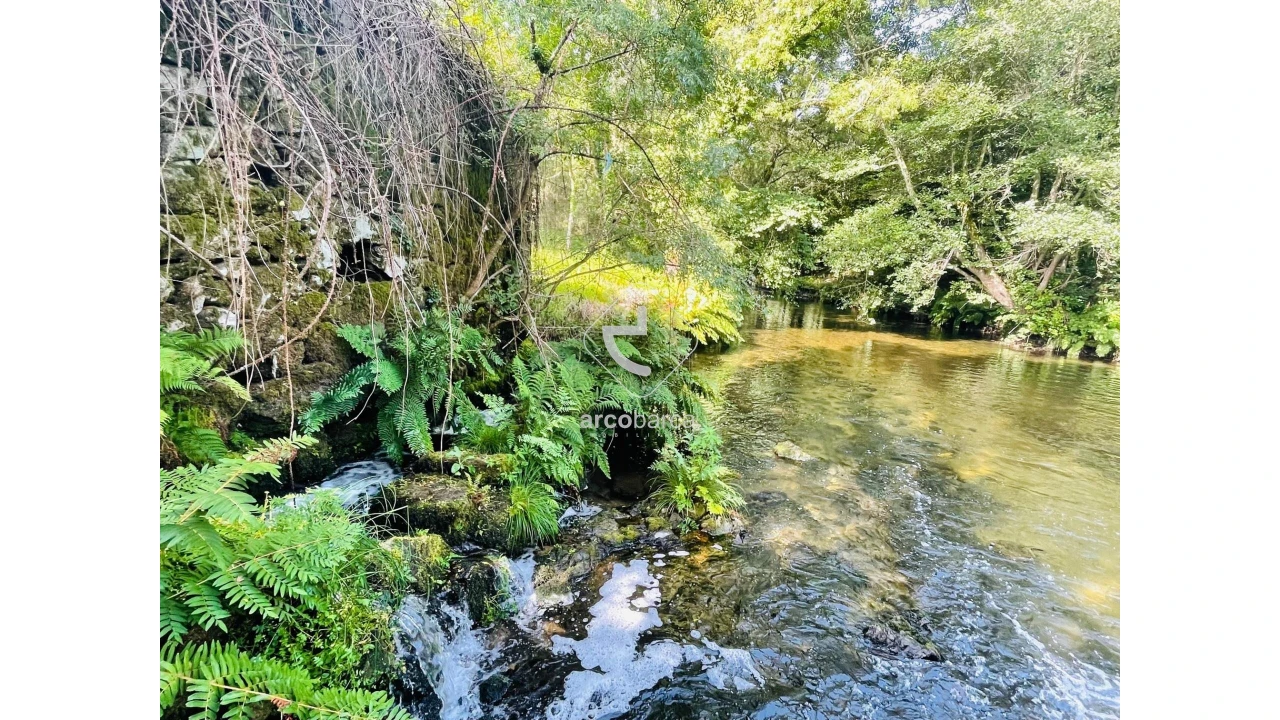 Quinta para Venda em Coura Foto 3