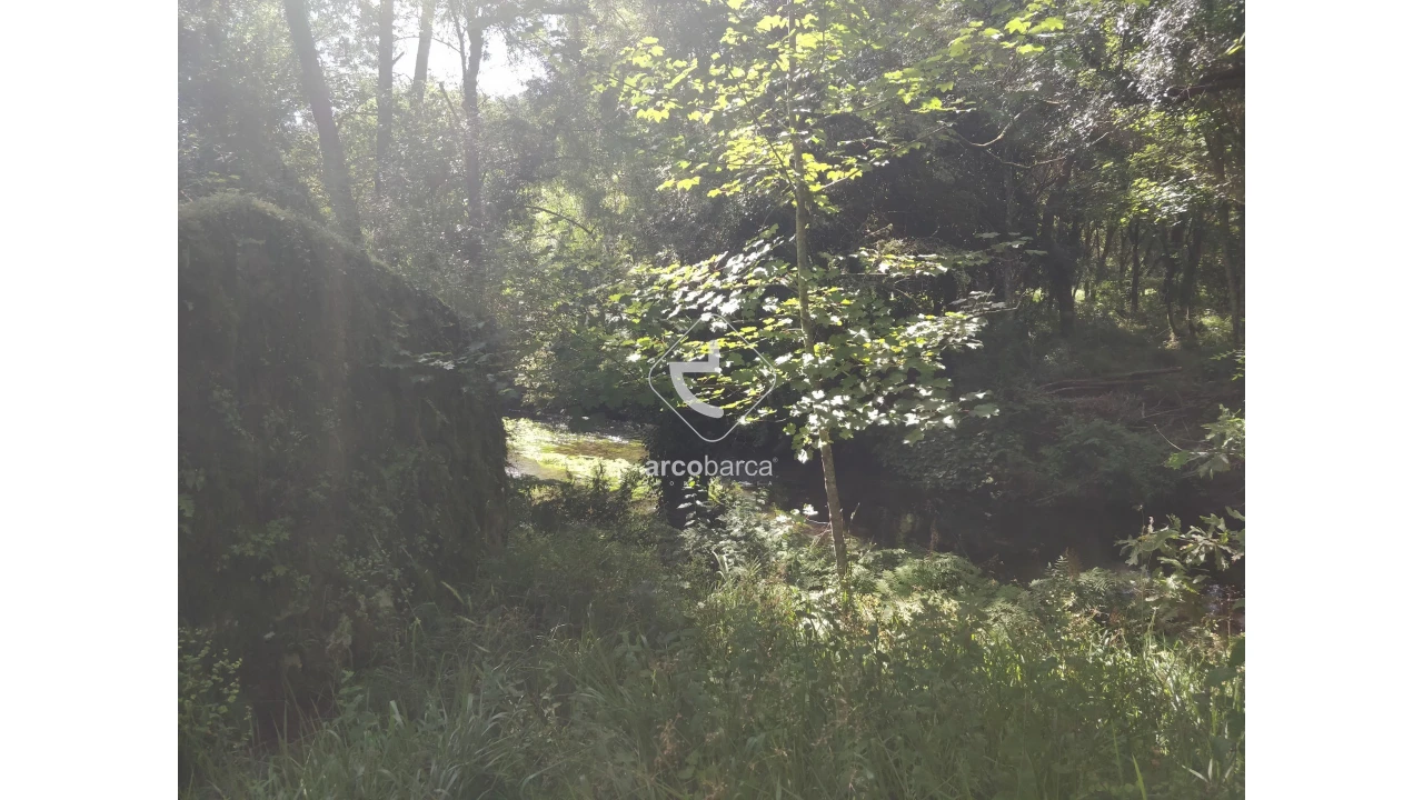 Quinta para Venda em Coura Foto 26