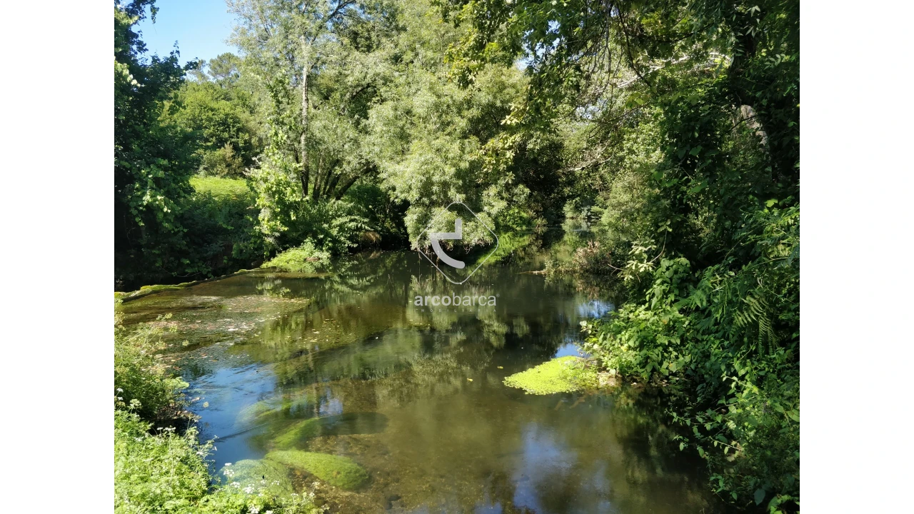 Quinta para Venda em Coura Foto 15