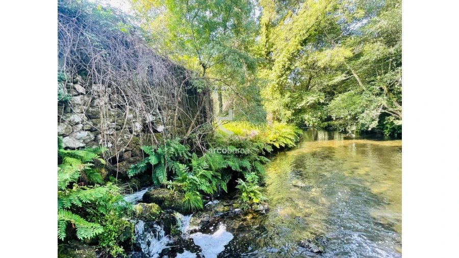 Quinta para Venda em Coura Foto 29