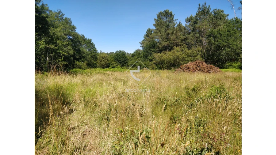 Quinta para Venda em Coura Foto 12