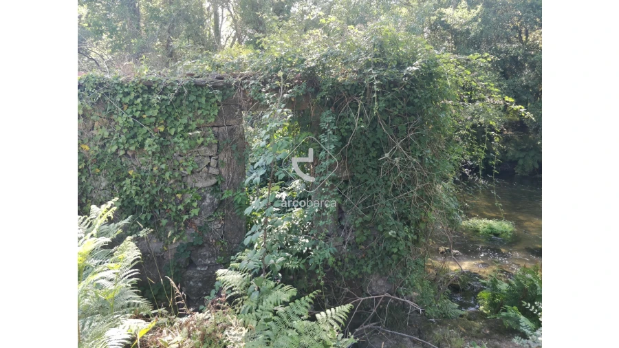 Quinta para Venda em Coura Foto 18