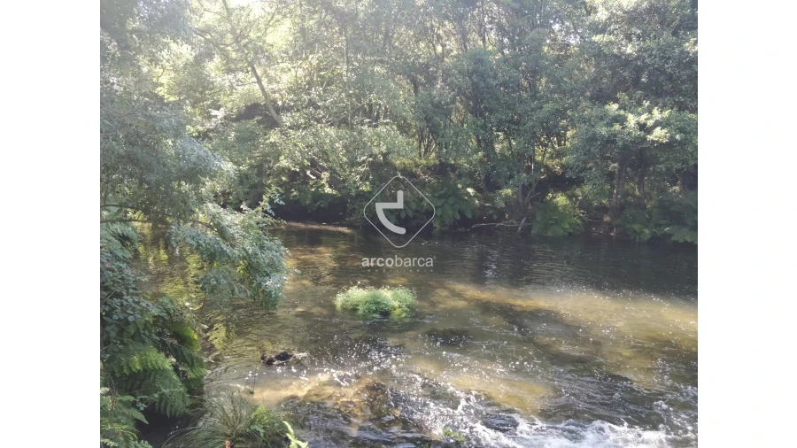 Quinta para Venda em Coura Foto 8