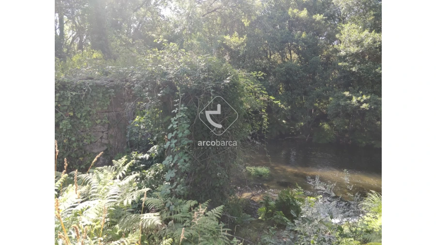 Quinta para Venda em Coura Foto 24