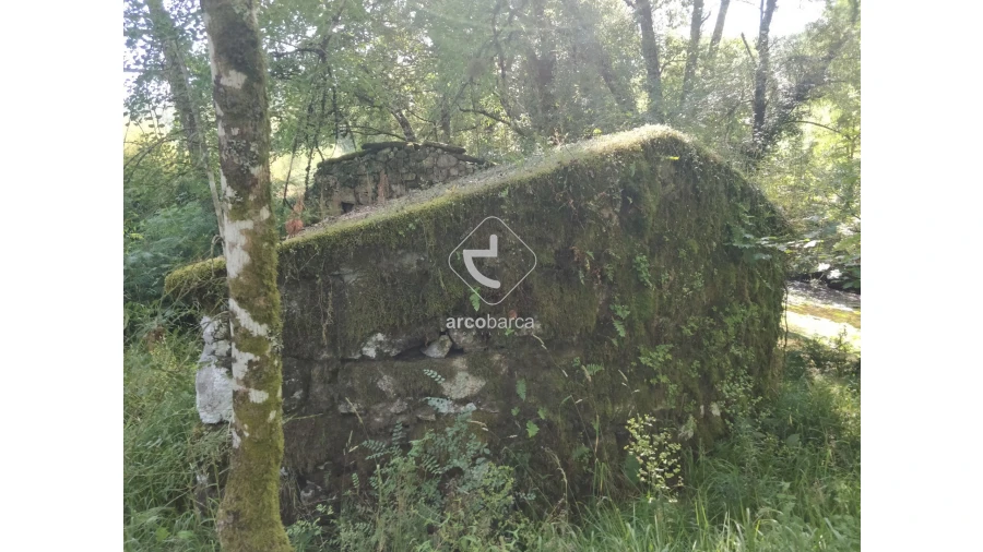 Quinta para Venda em Coura Foto 25