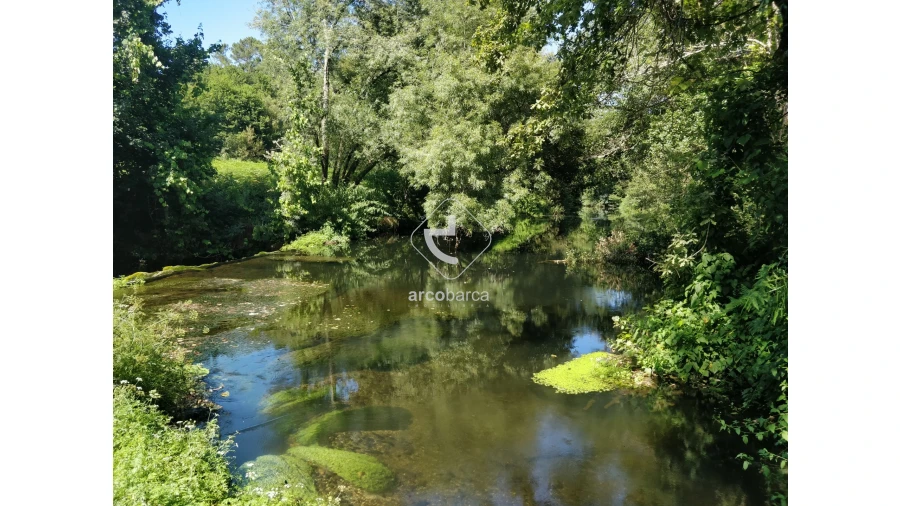 Quinta para Venda em Coura Foto 9