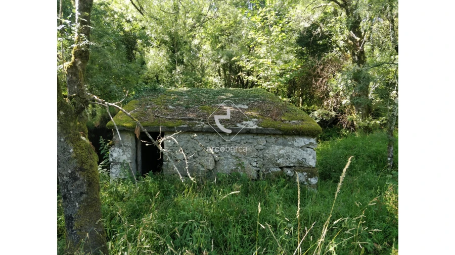 Quinta para Venda em Coura Foto 10