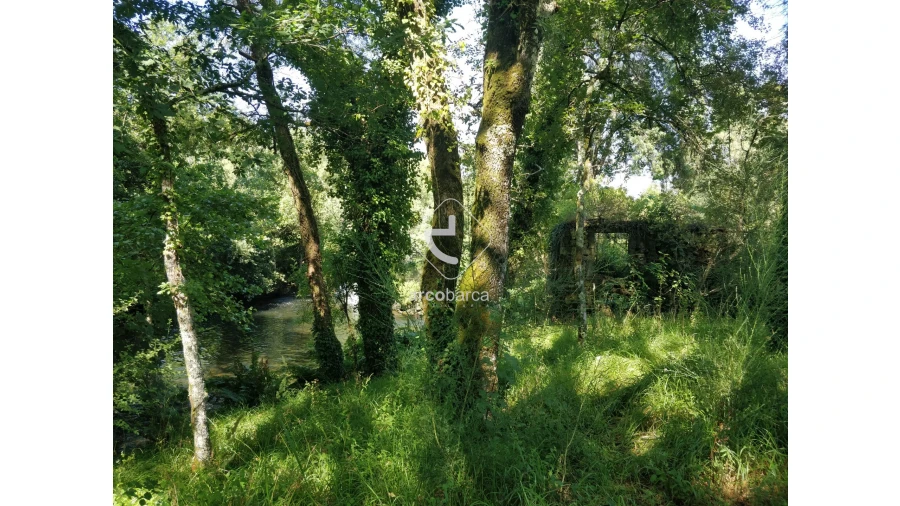 Quinta para Venda em Coura Foto 17