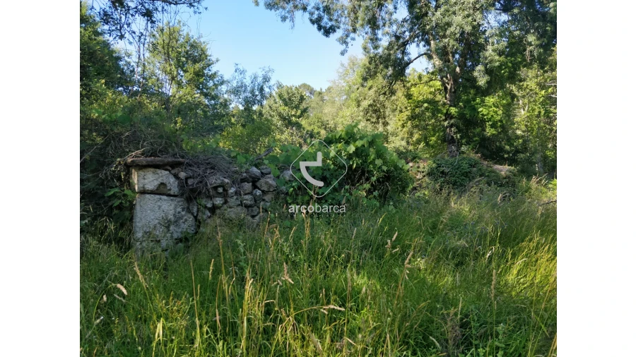 Quinta para Venda em Coura Foto 21