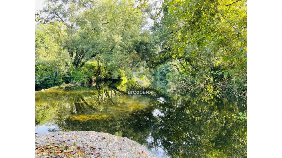 Quinta para Venda em Coura Foto 27