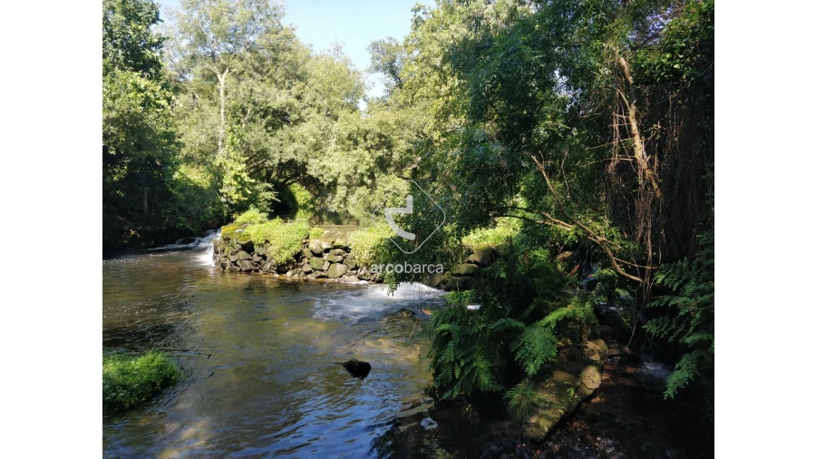 Quinta para Venda em Coura