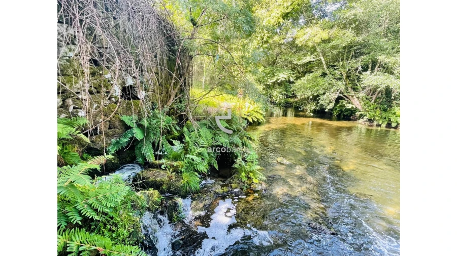 Quinta para Venda em Coura Foto 3