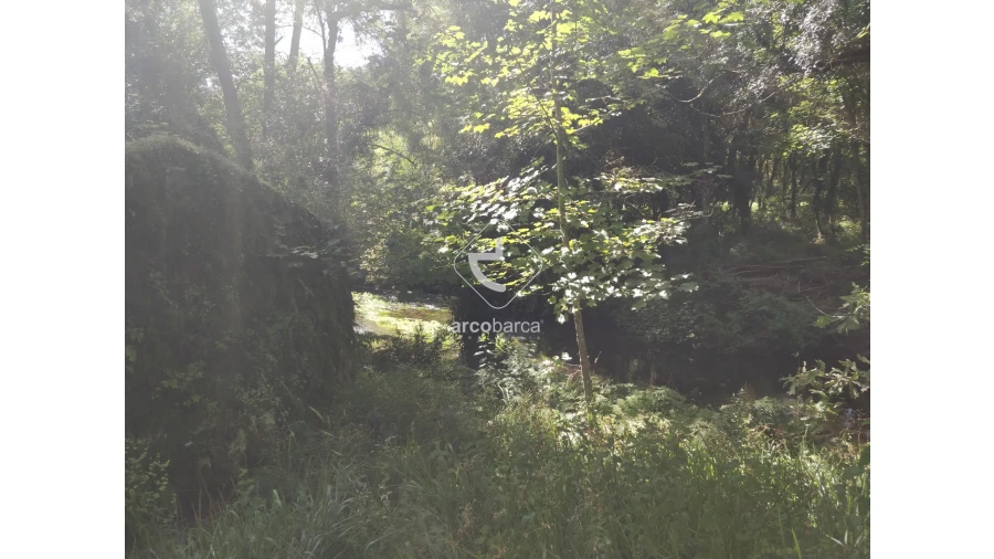 Quinta para Venda em Coura Foto 26