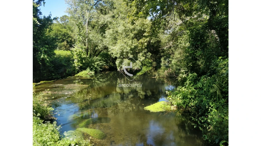 Quinta para Venda em Coura Foto 15