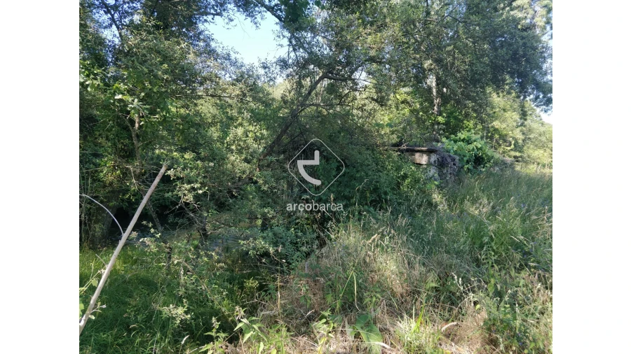 Quinta para Venda em Coura Foto 23