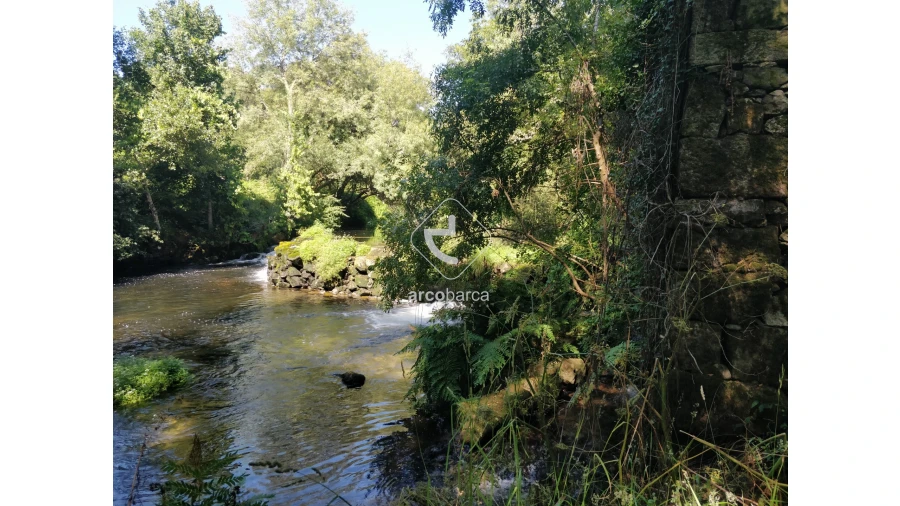 Quinta para Venda em Coura Foto 19