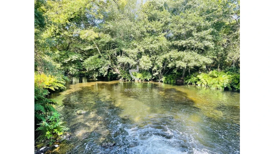 Quinta para Venda em Coura Foto 33