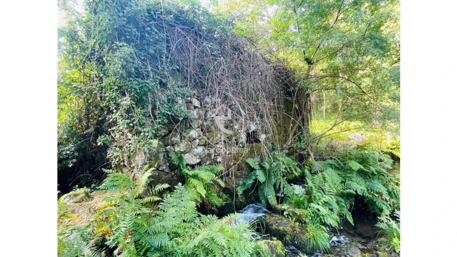 Quinta para Venda em Coura Foto 31
