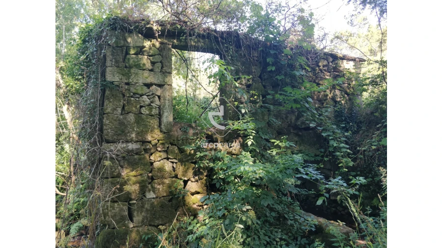 Quinta para Venda em Coura Foto 5