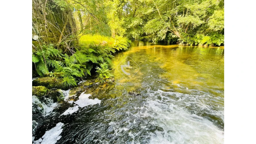 Quinta para Venda em Coura Foto 30