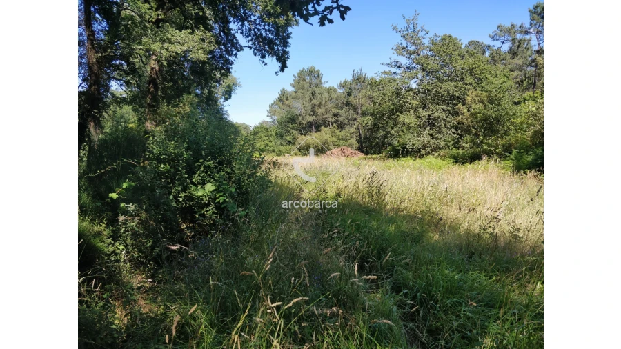 Quinta para Venda em Coura Foto 13