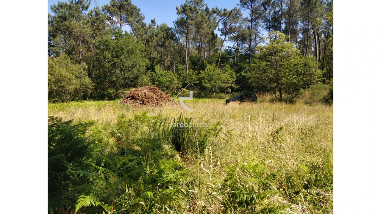 Quinta para Venda em Coura Foto 22