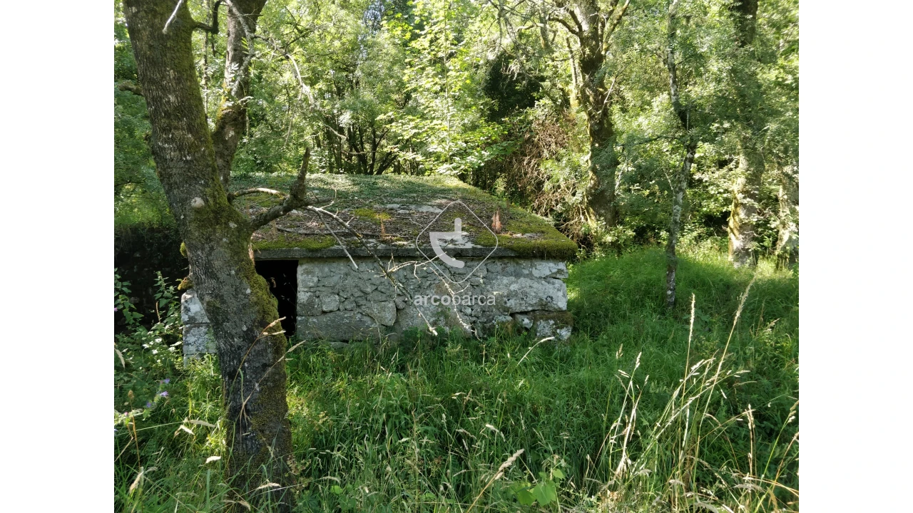 Quinta para Venda em Coura Foto 20
