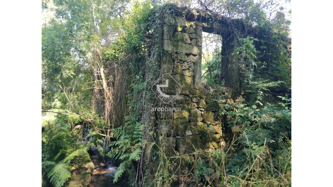 Quinta para Venda em Coura Foto 4