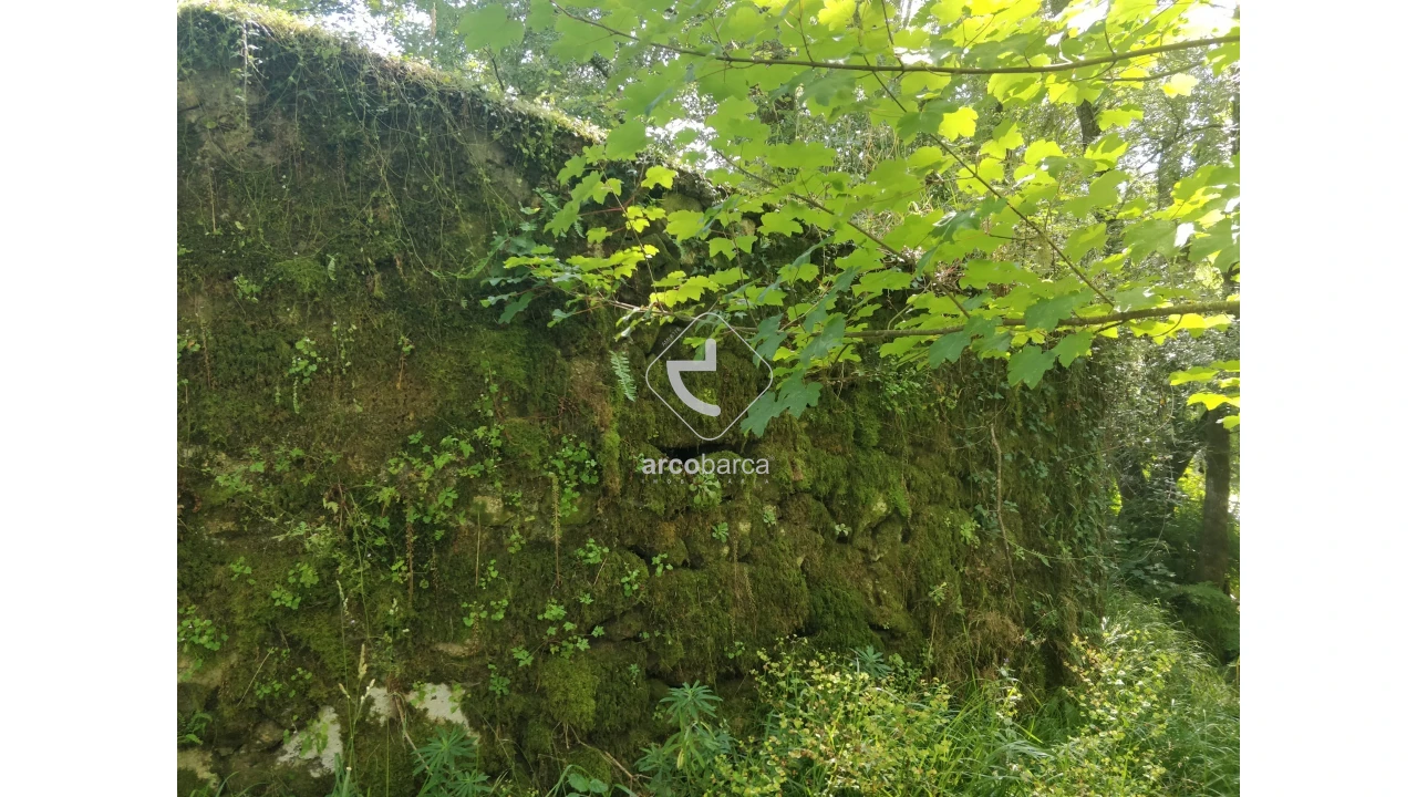 Quinta para Venda em Coura Foto 6