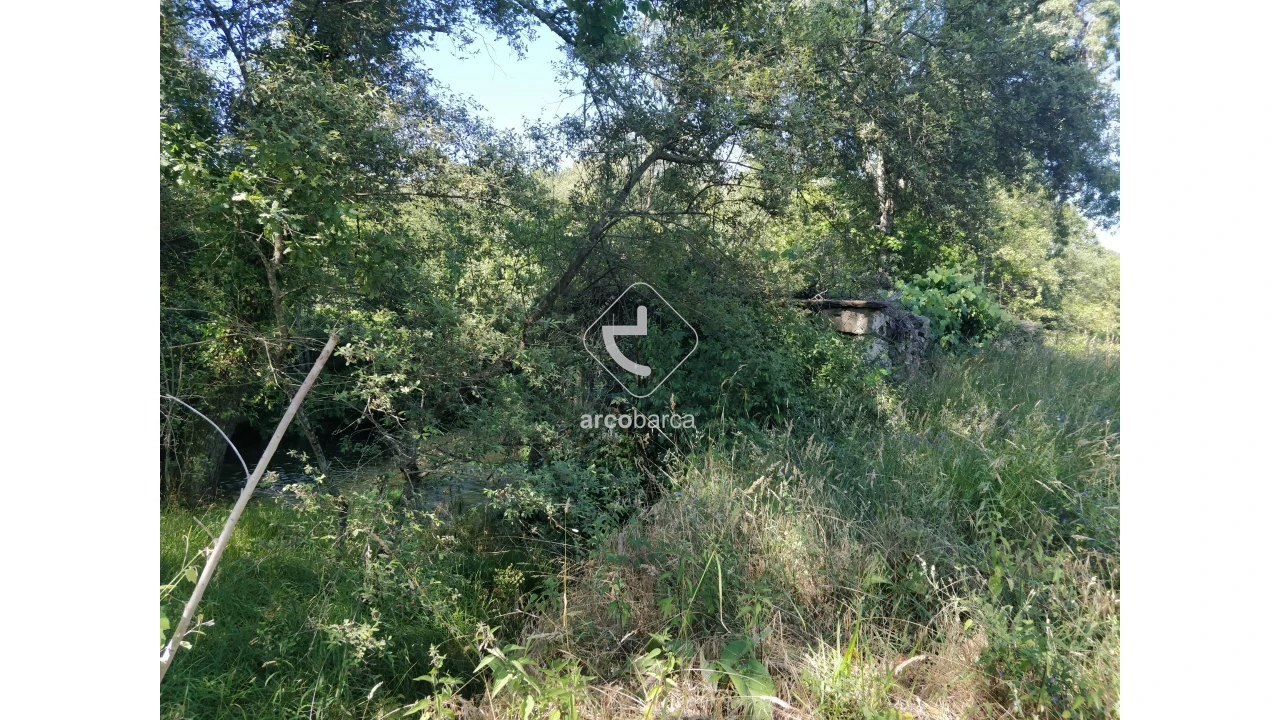 Quinta para Venda em Coura Foto 23