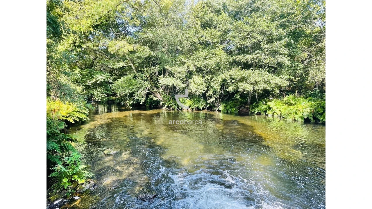 Quinta para Venda em Coura Foto 33