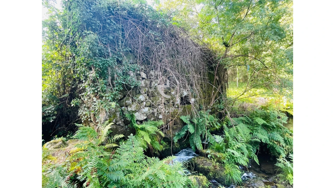 Quinta para Venda em Coura Foto 31