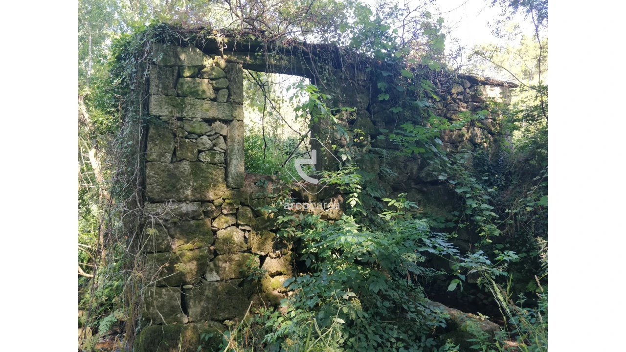 Quinta para Venda em Coura Foto 5