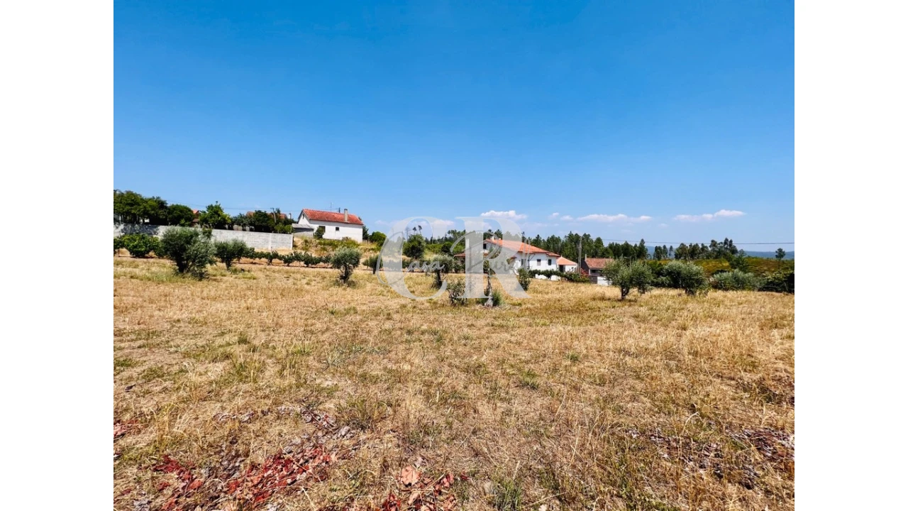 Quinta T3 para Venda em Graça Foto 10