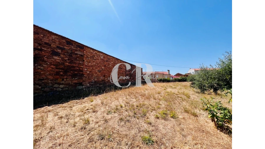 Quinta T3 para Venda em Graça Foto 8