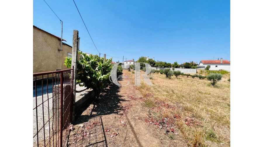 Quinta T3 para Venda em Graça Foto 7