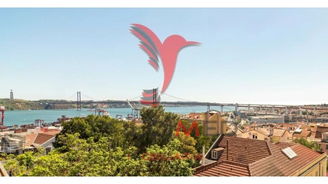 Apartamento T4 para Venda em Estrela