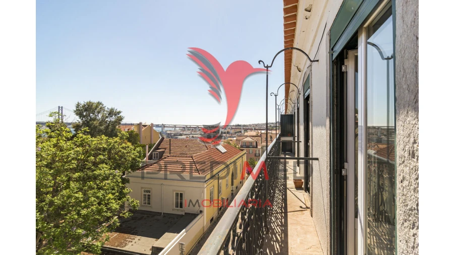 Apartamento T4 para Venda em Estrela Foto 6