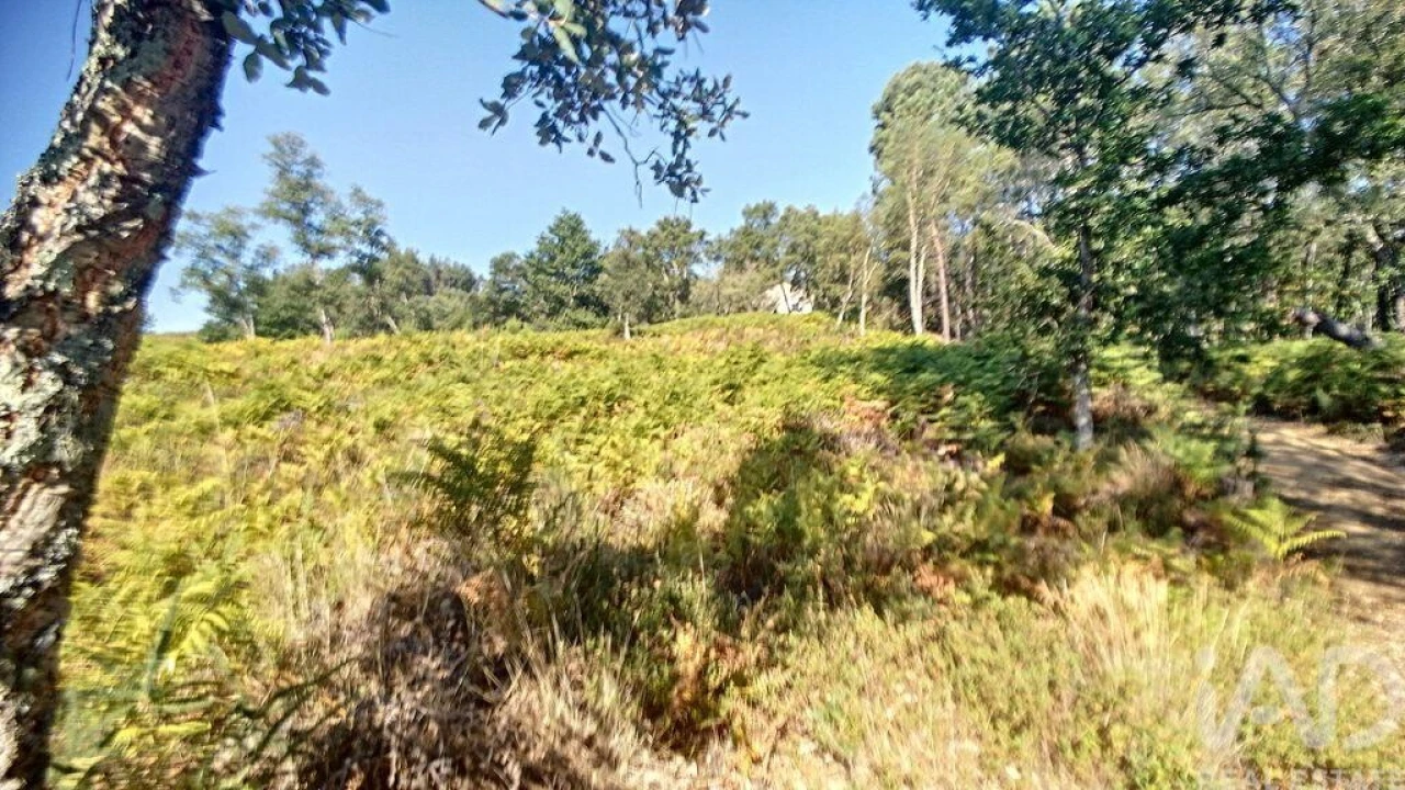 Moradia para Venda em Pedrogão Grande Foto 9