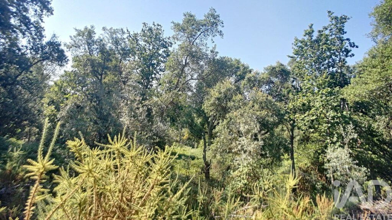 Moradia para Venda em Pedrogão Grande Foto 3