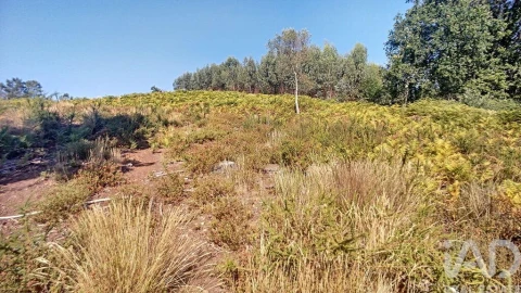 Moradia para Venda em Pedrogão Grande